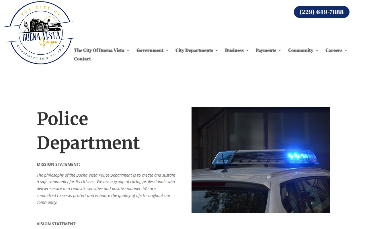 Buena Vista criminal history police and Municipal Court records source